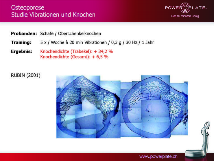 osteoporose vibrationen und knochen schafe rubin 2001